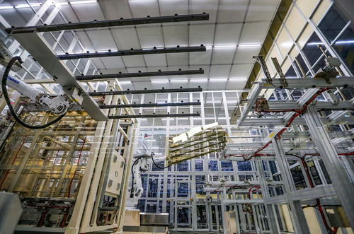 綿陽科技城觀察 技術服務賦能，新型顯示產業育新枝