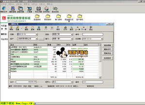 維克銷售管理軟件v1.65網(wǎng)絡(luò)版 企業(yè)信息化升級(jí)的專業(yè)信息技術(shù)咨詢服務(wù)