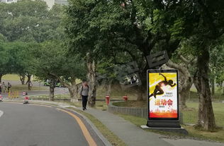 點(diǎn)亮城市智慧之眼 戶外大屏在智慧城市中的多元化應(yīng)用